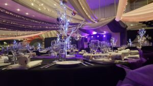 Venue draping and ceiling draping