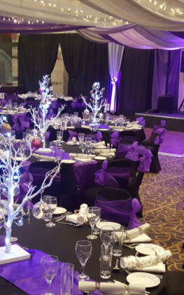 20 Corporate Christmas party venue theme
