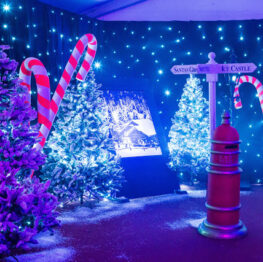 Winter wonderland corporate party a christmas tree with lights and candy canes