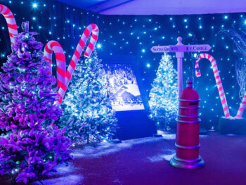 a christmas tree with lights and candy canes