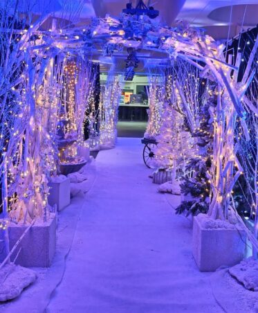 IMG_1862 Long Term Fairy Light walkway Christmas installation