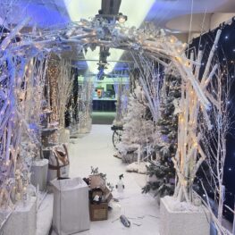 IMG_1892 White archway winter wonderland Christmas intsall