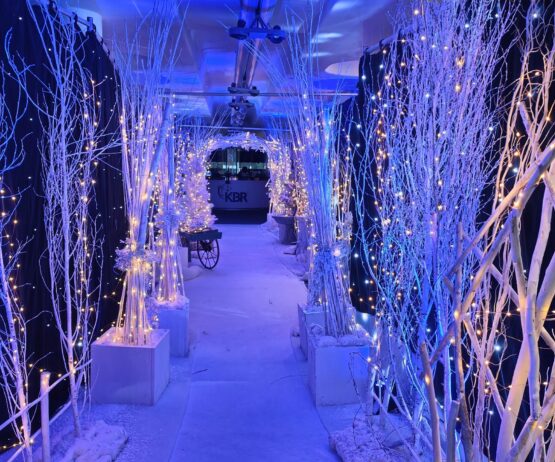 IMG_2130 Christmas party decoration for events, corporate Christmas party themed events