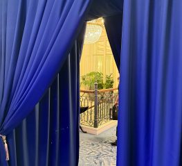 Blue velvet entrance {{brizy_dc_image_alt imageSrc=