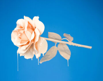 d03-Img-Blue-Rose.jpg d03 Img Blue Rose