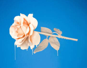 d03-Img-Blue-Rose.jpg d03 Img Blue Rose